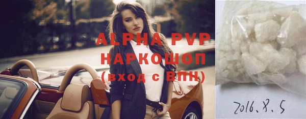 винт Каменка