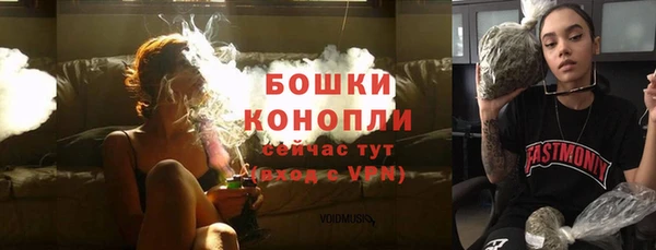 ешки Каменногорск