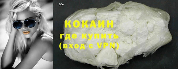 винт Каменка