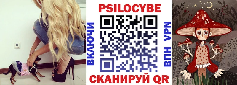 Псилоцибиновые грибы GOLDEN TEACHER  Купить где  Горняк 